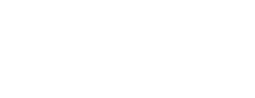 human intellect